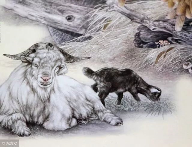 991年属羊是什么命婚配，1979男羊1991女羊婚配"