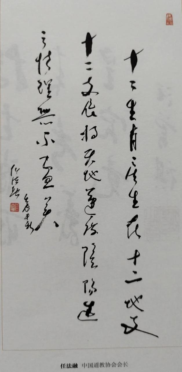 属蛇人永久吉利的颜色，1989属蛇人一生的克星