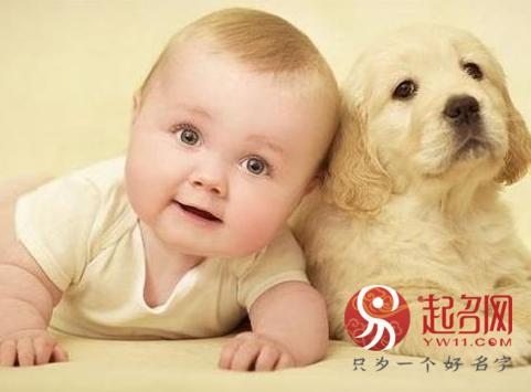 982年属狗禁忌颜色，1982属狗2022