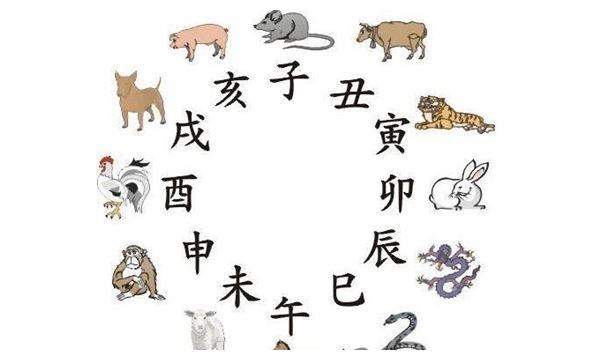蛇和冲什么生肖，冲蛇曰用相是什么