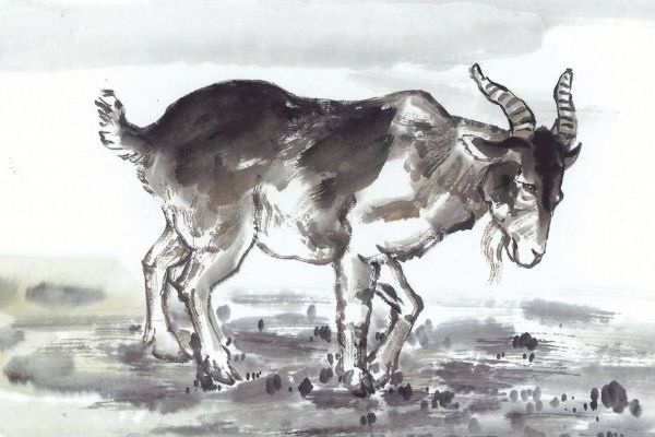 属羊是哪些年份，属羊的年份表对年龄