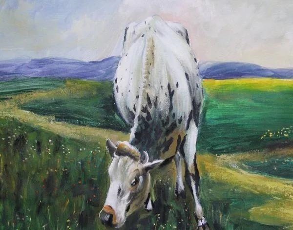 022年属马一生学业如何,生辰八字五行查询"