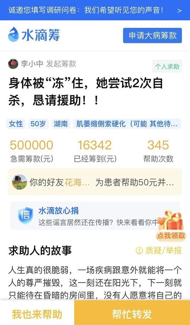 鸡和牛为什么老是吵架，鸡和牛的友情