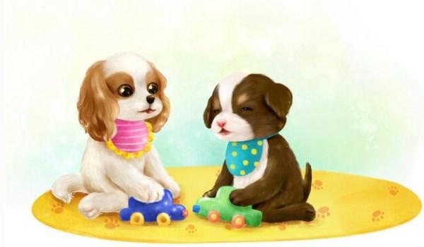 006年属狗的男孩运势,2006年属狗2022