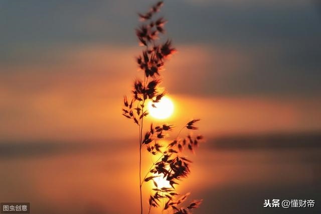 有的人会吸走你的运气天涯，如何让自己运气好起来