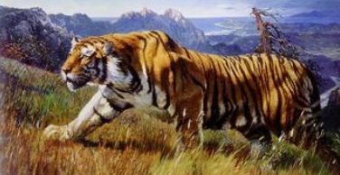 986属虎的一生婚姻男，86虎的婚姻在2022