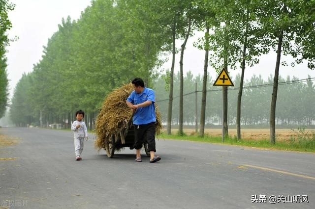 5岁转运还是36岁转运，1985属牛36岁逢九年"
