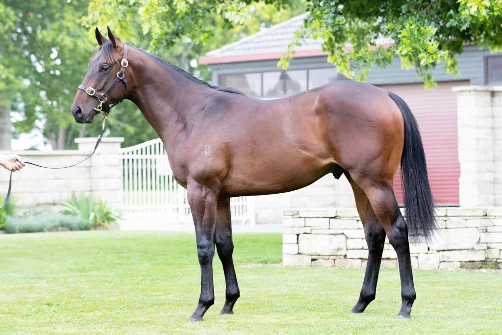 022年几点出生的马宝宝更好，2022年虎年哪个月份出生的宝宝更好"