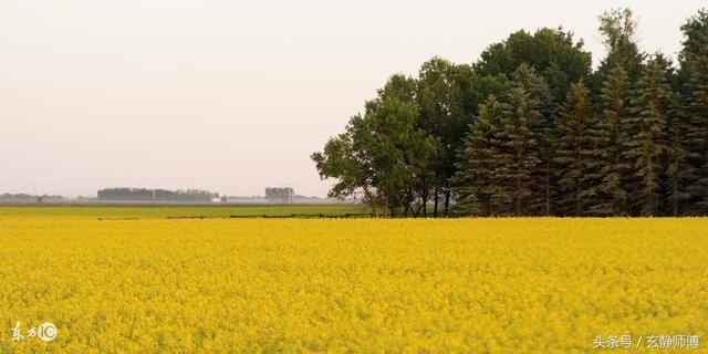 0年10月马女命运,二月马的命运怎么样"