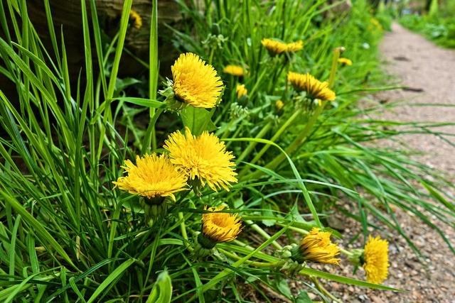 缘分很深的生肖配对，缘分配对测姻缘