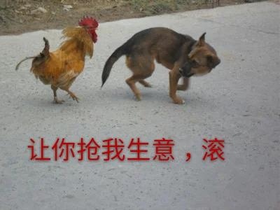 日历十二生肖和年龄，十二生肖年龄对照表2022