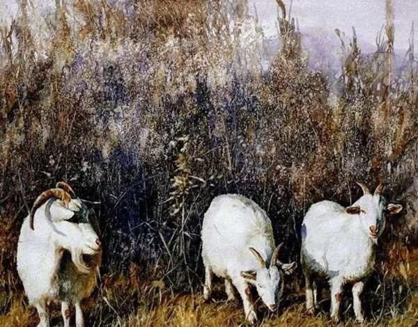 022年属马一生学业如何,生辰八字五行查询"