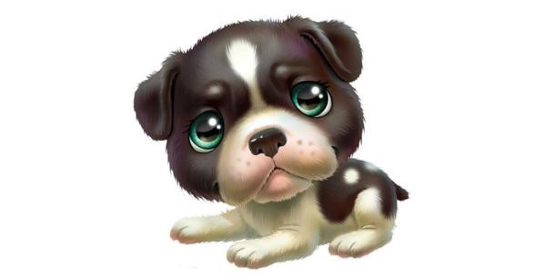 0年属狗人今年运势，70属狗2022