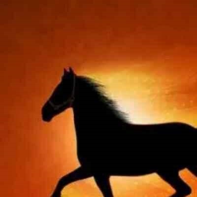 8年属马女更佳婚配，1978年女马更佳配偶"