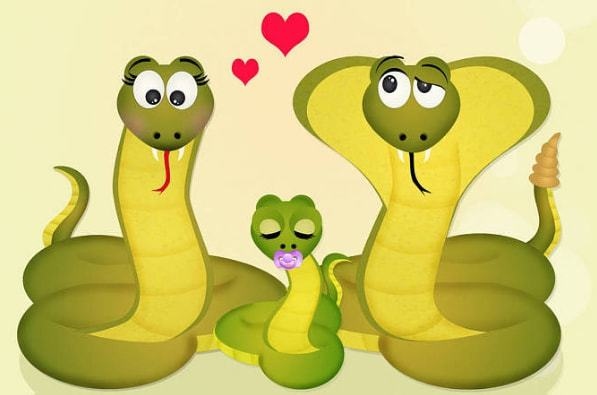 蛇在哪一年出生，属蛇是多少年出生的