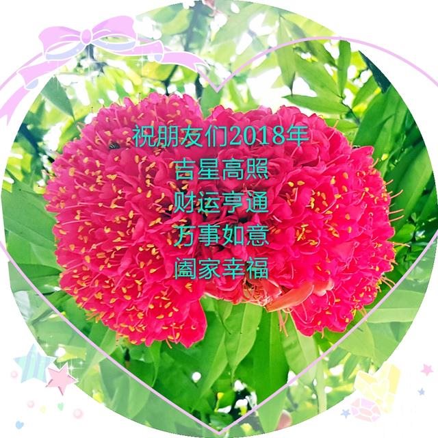 6年属龙人最旺的年龄，1976年属龙女一生命运"