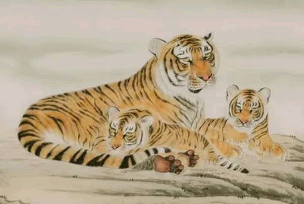 属虎的都是几几年，1998年属虎的是什么命