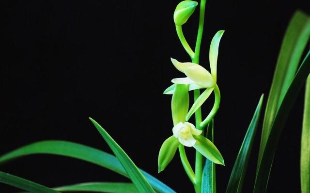 一个人的财运是命中注定的吗，人的财运都是注定的吗