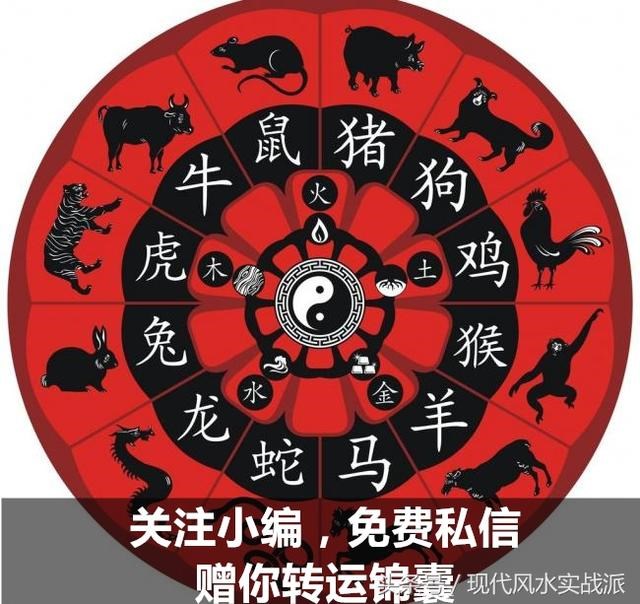 马的三合贵人和6合贵人,龙的三合贵人和6合贵人