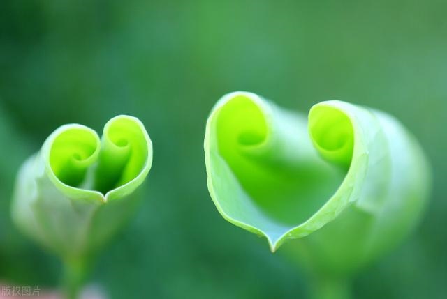 测试自己有没有牢狱之灾，牢狱之灾是命中注定