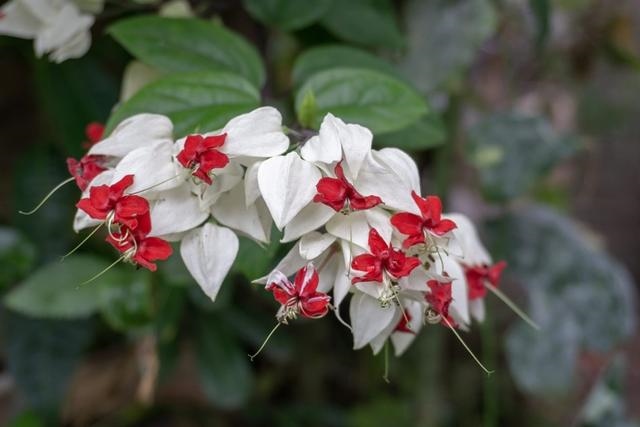 022运势好到爆的星座金牛座,星座配对测试"