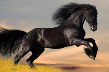 二月出生的属马女命运,1966年属马女人婚姻状况