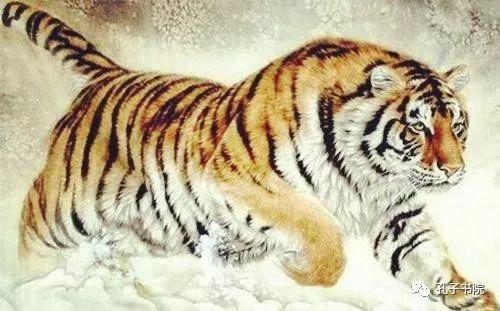 中午1点至3点时辰好不好，备孕前三个月注意事项