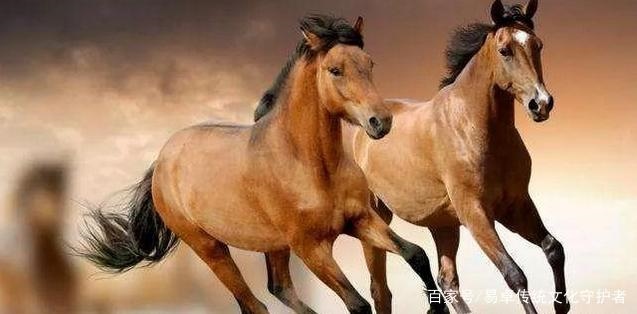 022年属马的运势如何，2022年属马人的全年运势如何"