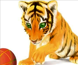 属虎的人手机号怎么选，1974属虎的更佳手机号尾数