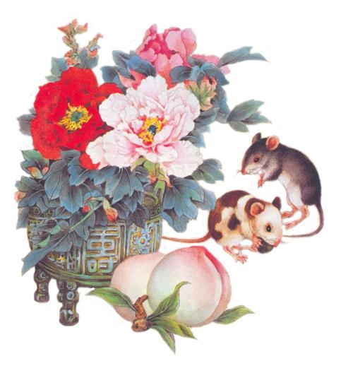 属鼠的四大桃花年,属鼠人的正桃花年是哪年