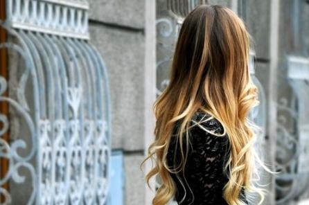 郑博士今日生肖运势查询,十二生肖今日运势查询