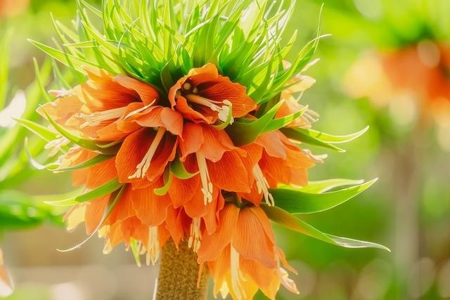 8年男马一生婚姻状况，78年属马的女性婚姻怎么样"