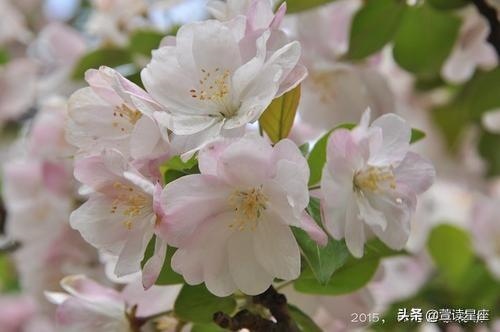 属蛇的上等时辰,属蛇几月出生最富贵