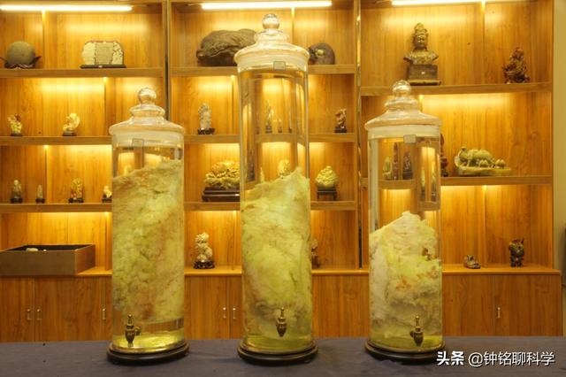 太岁一般都生长在哪里，太岁从哪里生出来的