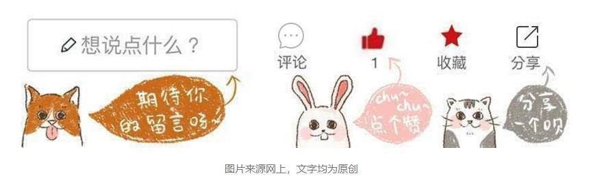 2年水狗命什么颜色好，82年属狗人三大坎"