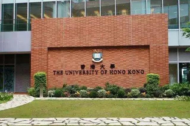 猪人遇虎年2022，猪人遇虎年的运气