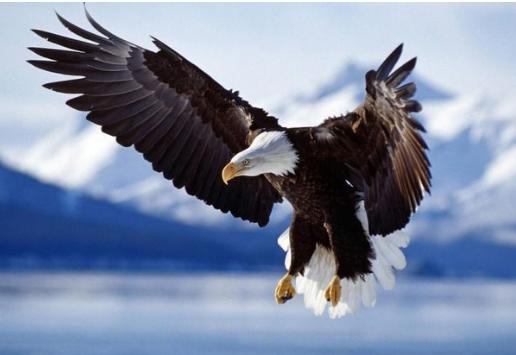 容易被女孩看上的生肖男，容易生男孩的生肖女