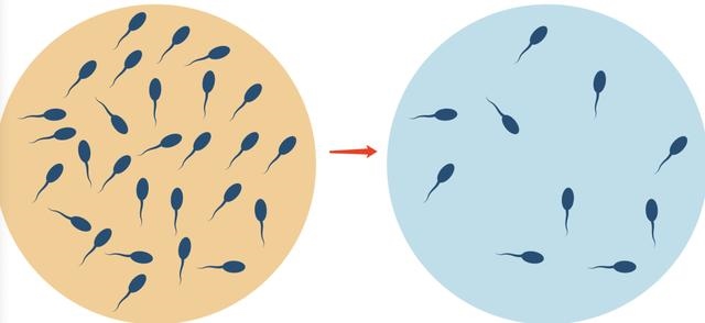 1年的男孩的更佳配偶,属羊男更佳婚配属相"