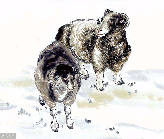 1年属羊的劫难,属羊91年寿命劫数"