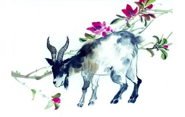 属羊人今年的婚姻感情怎么样，1979属羊有几段婚姻