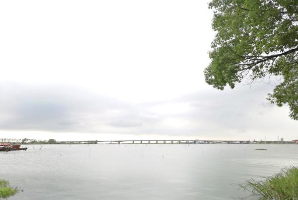 属虎的名字带雨好不好，属虎的宝宝取名字大全