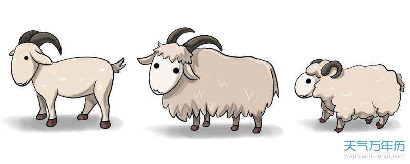 1年属羊女与91年属羊男，1991年女羊与1991男羊"