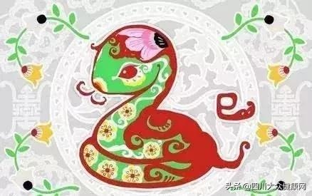 属猪人遇什么年财运最旺，71年属猪的偏财运