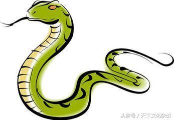 属羊哪个月份出生的男人更好，属鼠几月出生更好