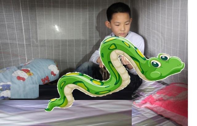 鼠和蛇父子好不好，蛇爸生鼠宝宝好不好