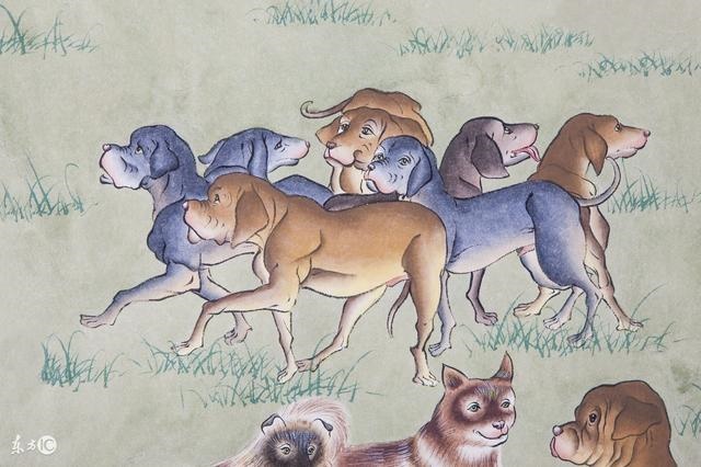 982年狗的运势，狗人2022年运势运程"