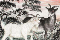 属羊的适合什么职业，属羊人今年适合创业吗