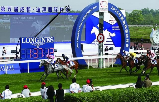 990马和1990马相配吗,1990女马和1990男马"