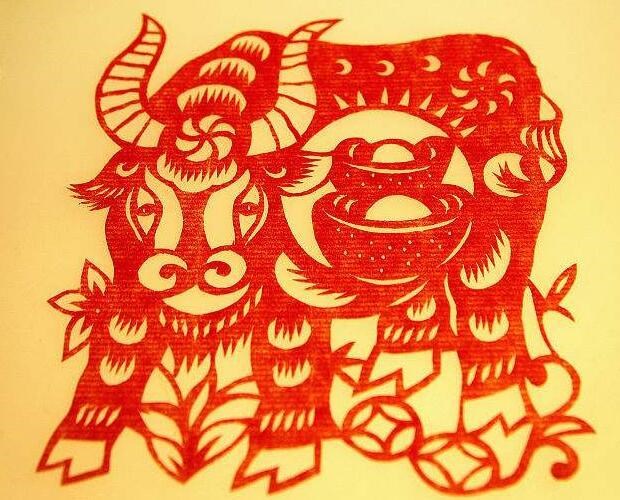 属马的人真的不能生牛宝宝吗，1990的马生2022 的鼠合适吗