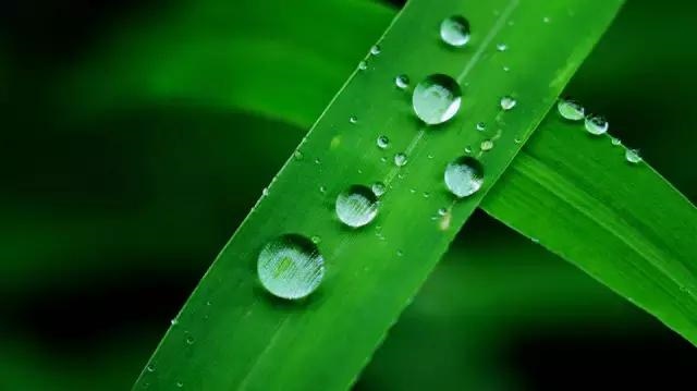 990属马佩戴什么招财，女属马的佩戴什么最旺财"